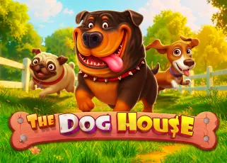 The Dog House huayork